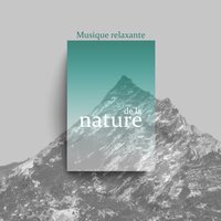 Méditation de pleine conscience - Buddhist Méditation Académie