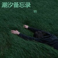 打字机情话 - 莹莹