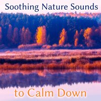 Sunrise - Relaxing Sounds of Nature