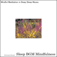 Sacred Retreat in Sleep Therapy - Sleep BGM Mindfulness