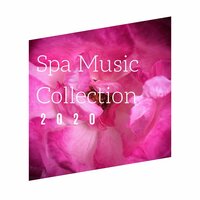 Soothing Atmosphere - Relaxation Music Therapists