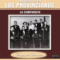 El Distinguido Ciudadano - Orquesta Tipica Los Provincianos