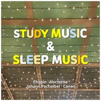 Relaxing Sleep Music - ASMR