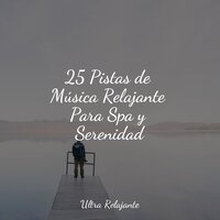 Dulces Sueños De Domingo - Academia de Música para Massagem e Relaxamento & Musica Para Meditar y Relajarse & Lluvia Relajante
