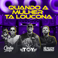 Quando a Mulher Ta Loucona - Dj Carlos Henrique & DJ VICENTE FALEIRO & MC Toy