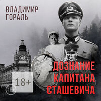 Владимир Гораль. «Дознание капитана Сташевича». Часть 17 - Илья Веселов