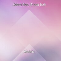 Dark Transition - Zebra Rec. & caa boh