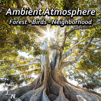 Birds And Insects In The Forest - John Nature