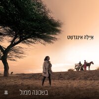 בשכונה ממול - Ayala Ingedashet