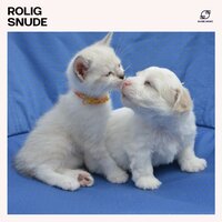 Helbredende Frekvenser til Hunde - Afslappende Musik til Hunde & Musik til Hunde og Katte & Kæledyrs Afslapningsmusik & Søvnmusik til Kæledyr