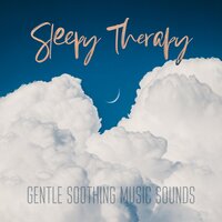 Story of Life - Insomnia Cure Music Society