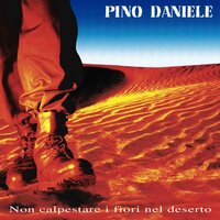 Se mi vuoi - Irene Grandi & Pino Daniele