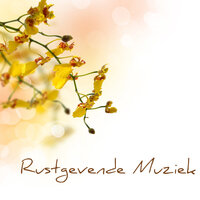 Horizon - Rustgevende Muziek