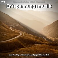 Entspannungsmusik pt. 86 - Entspannungsmusik zum Einschlafen & Schlafmusik & Entspannungsmusik
