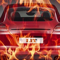 Lit - Gene