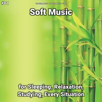 Soft Music, Pt. 66 - Soothing Music & Relaxing music & Yoga