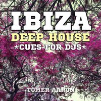 Perfectionism - Tomer Aaron, DJ Dorel & Tomer Aaron & Dj Dorel