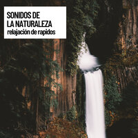 Strong and Fast Stream - Música Instrumental Maestro & Musica relajante & Musica Para Dormir Bebes