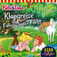 Kapitel 07: Klangreise im Falkensteiner Forst - Bibi und Tina