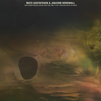 THEIR NEW LIFE WAS THEIR FINAL LIFE (vilse) - Mats Gustafsson & Joachim Nordwall