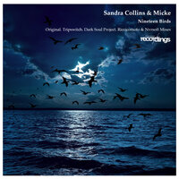 Nineteen Birds - Micke & Sandra Collins & Riccicomoto