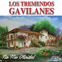 No Tengo La Culpa - Los Tremendos Gavilanes