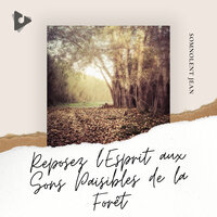 Paysages sonores de la forêt - Somnolent Jean & Bruit De La Nature & Musique à Méditer