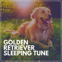 Ultimate Chill Music for Your Dog, Pt. 34 - Music for Calming Dogs