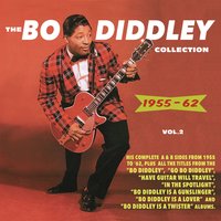 Bo Diddley Is Loose - Bo Diddley