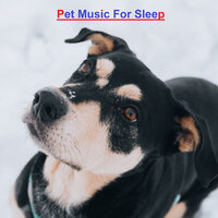 Piano Puppy Time - Music for dog's joys & Music For Cats & Purring cats & World of cat's