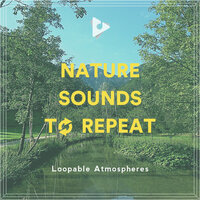 Hear Nature Art - #Sleep & Sleep Sounds Of Nature