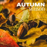 Rainy Afternoon - Mothers Nature Music Academy
