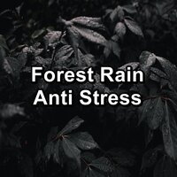 White Noise Rain For Relaxing Times in the Evening - Baby Sleep & Sleep Sounds Of Nature & White Noise for Baby Sleep