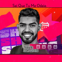 Sei Que Tu Me Odeia - Banda Big Love