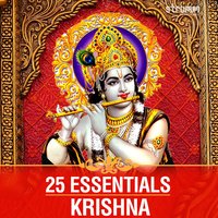Krishnashtakam - S. P. Balasubramaniam