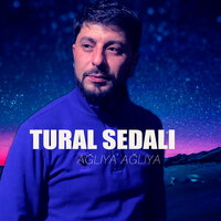 Sevgi Mehebbet Nedi - Tural Sedalı
