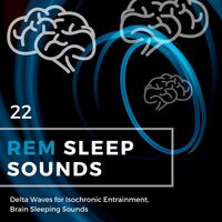 Musical Relaxation - REM Sleep Inducing