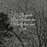 Ocean Waves (Medium) - Rain Sound Plus & Rain Man Sounds & Naturaleza Relajacion