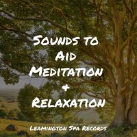 Feeling Sheltered - Relajantes sonidos de lluvia & It's Raining & Ambient Music Therapy