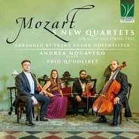 Quartet for Flute and String Trio No.4 in D Major, K.311: I. Allegro con spirito - Trio Quodlibet & Andrea Mogavero & Вольфганг Амадей Моцарт