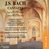 Also hat Gott die Welt geliebt in D Minor, BWV 68: IV. Du bist geboren mir zugute - Laurence Equilbey & Christophe Coin & Ensemble Baroque de Limoges & Accentus & Johann Sebastian Bach