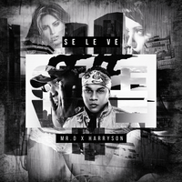Se Le Ve - Mr. D & Harryson
