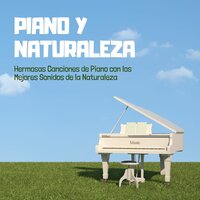 Actividades de Relajación - Descansa