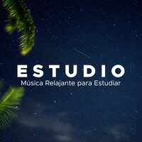 Musica para Dormir Profundamente - Meditando & Felicia Chakra & Felicia Chakra & Meditando