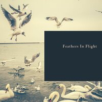 Sheer Delight - Latium