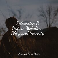 Om - Nature Sounds Nature Music & Meditation & Stress Relief Therapy & Life Sounds Nature