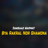 Raza Ta Raza - Damsaaz Marwat