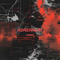 Dominator - Pash