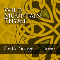 Song to the Siren - Julienne Taylor