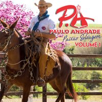 Doutor e a Boiadeira - Paulo Andrade